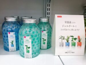 ダイソーで買える 観葉植物 の商品紹介 どんな種類がある 価格は